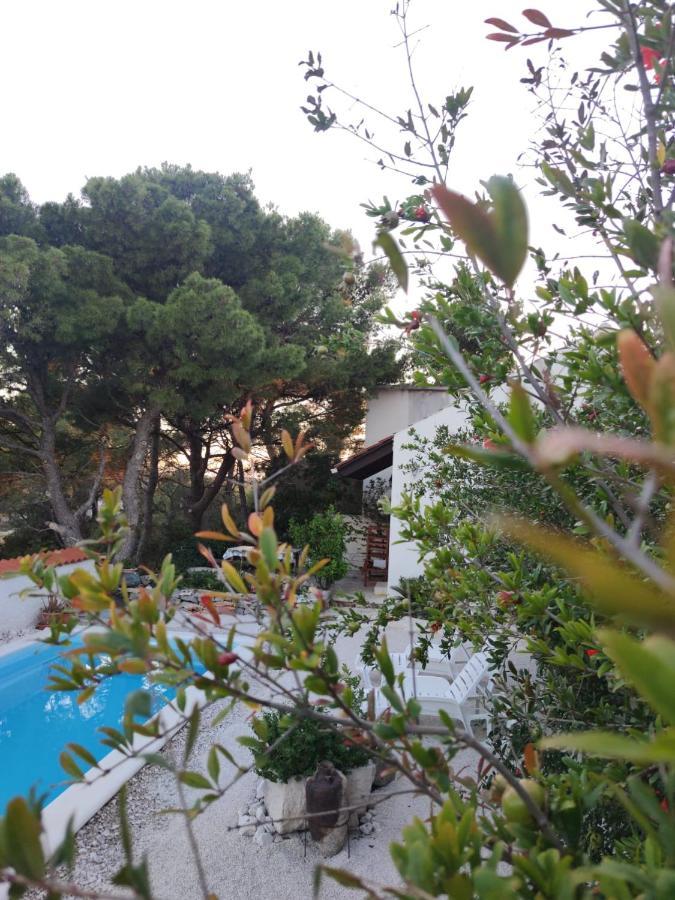 Vacation House Milka Milna  Luaran gambar