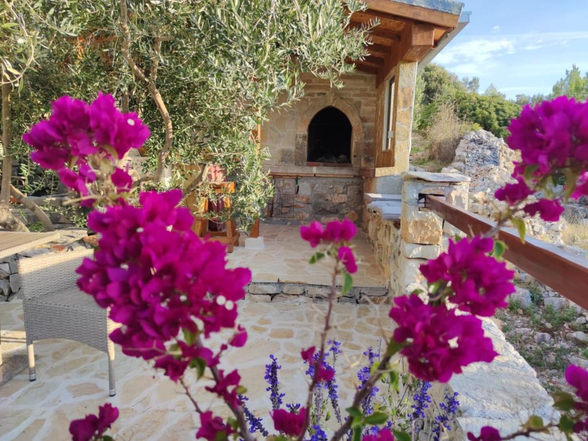 Vacation House Milka Milna  Luaran gambar