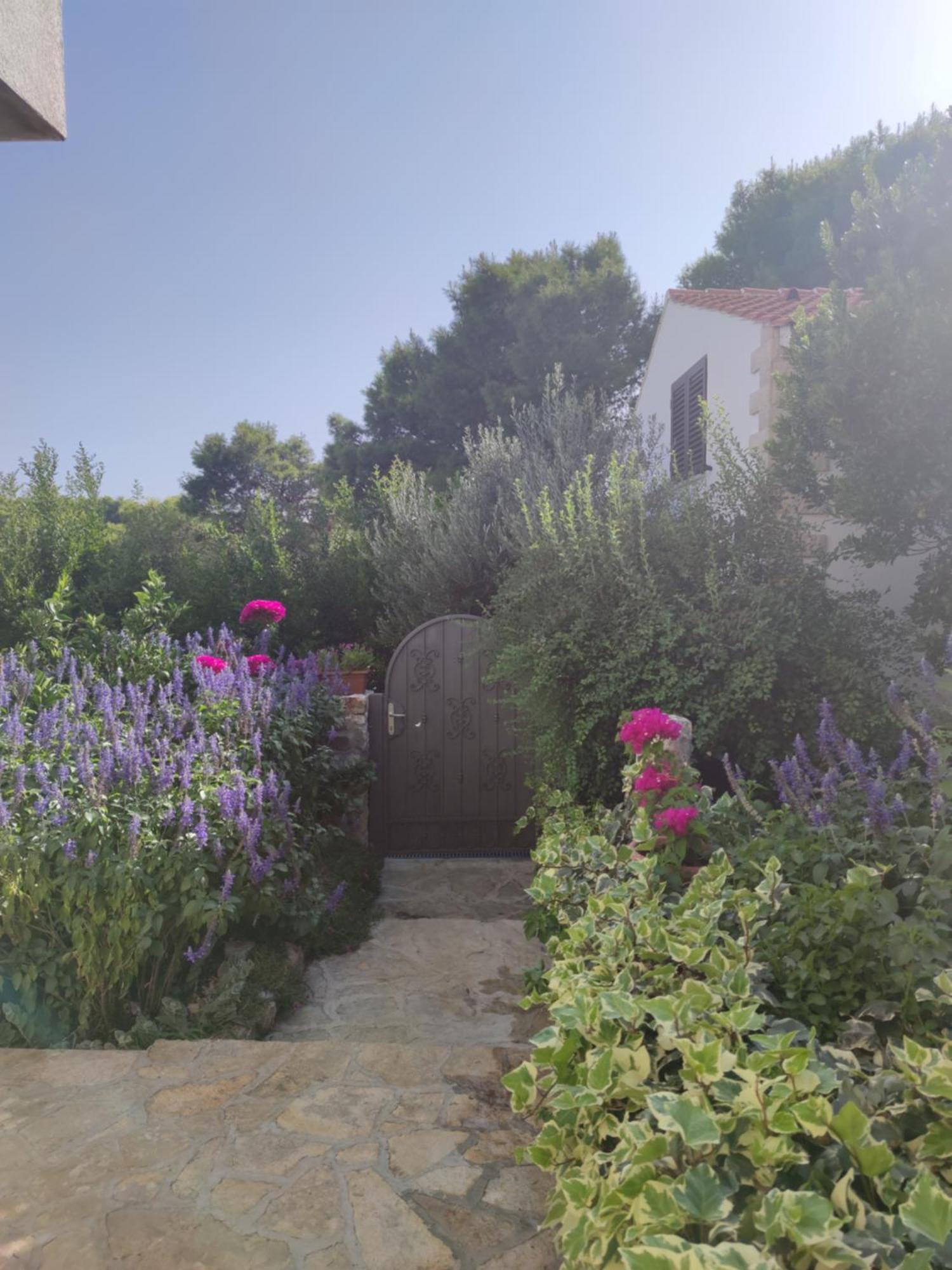 Vacation House Milka Milna  Luaran gambar
